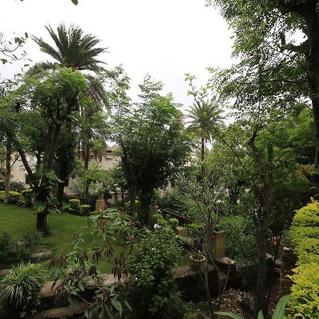 Hotel Maganji'S Ábú-hegy Kültér fotó